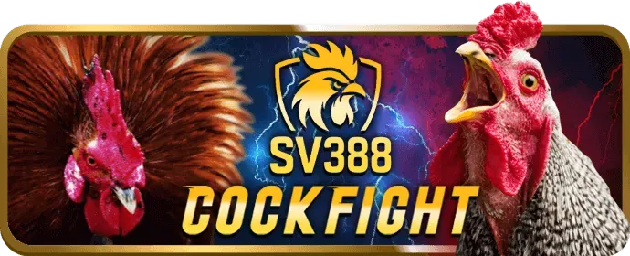 Sự kiện đặc biệt và giải đấu vf55 code